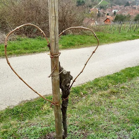 Cosy A 60 M² Avec Jardin Vue Montagne * Bernardville