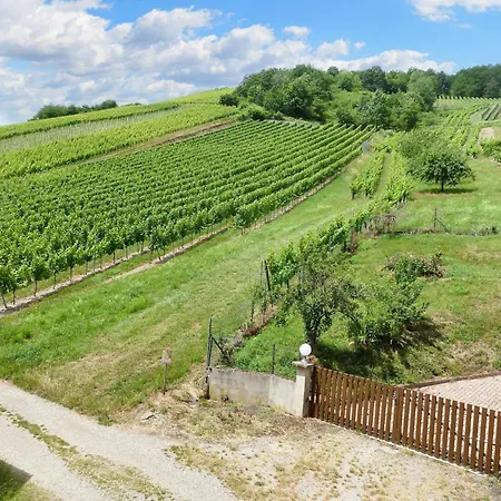 Apartament Cosy A 60 M² Avec Jardin Vue Montagne *
