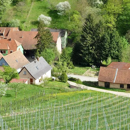 Cosy A 60 M² Avec Jardin Vue Montagne Bernardvillé